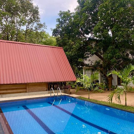Habarana New Star Homestay Kültér fotó