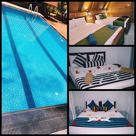 Habarana New Star Homestay Kültér fotó