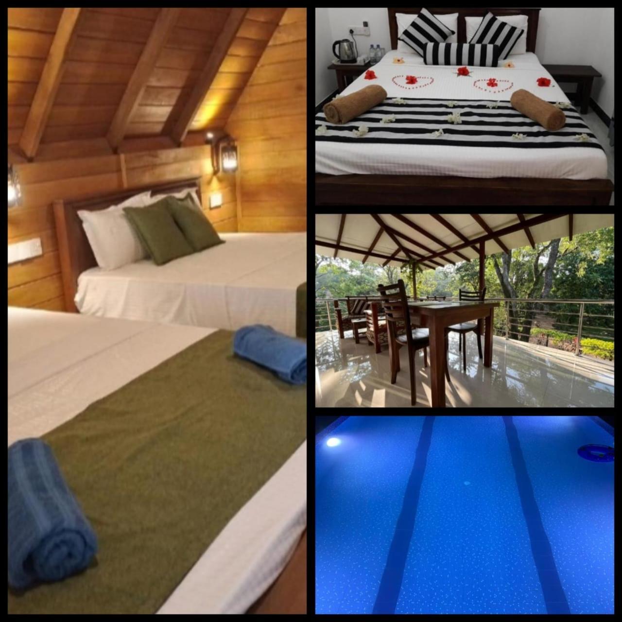 Habarana New Star Homestay Kültér fotó