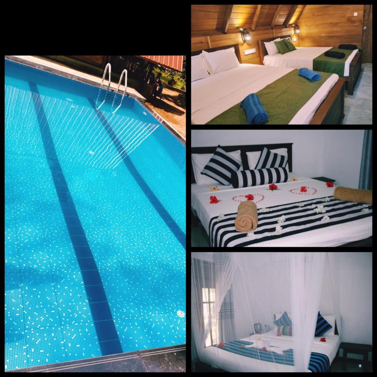 Habarana New Star Homestay Kültér fotó