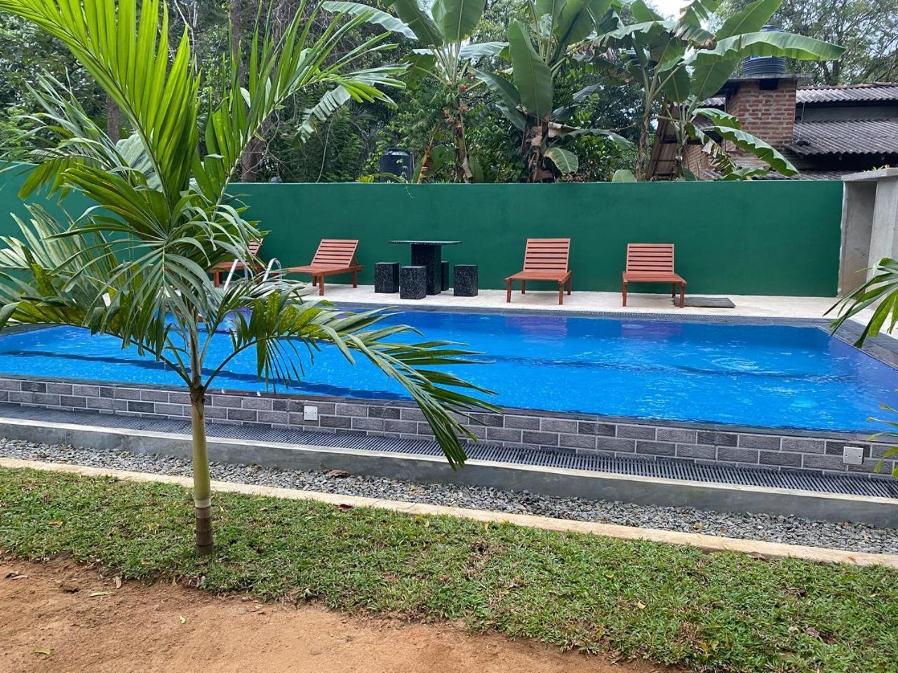 Habarana New Star Homestay Kültér fotó