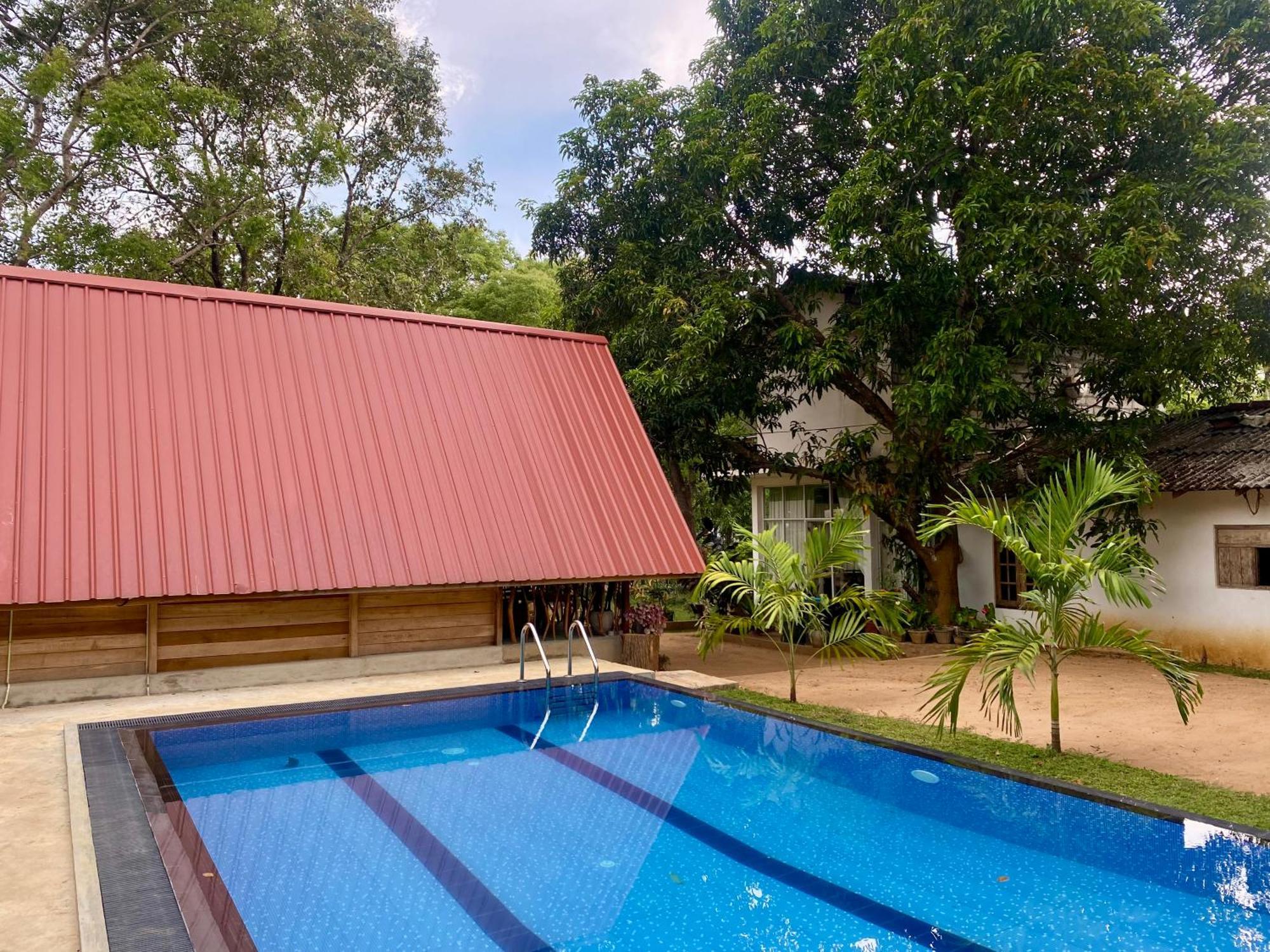 Habarana New Star Homestay Kültér fotó
