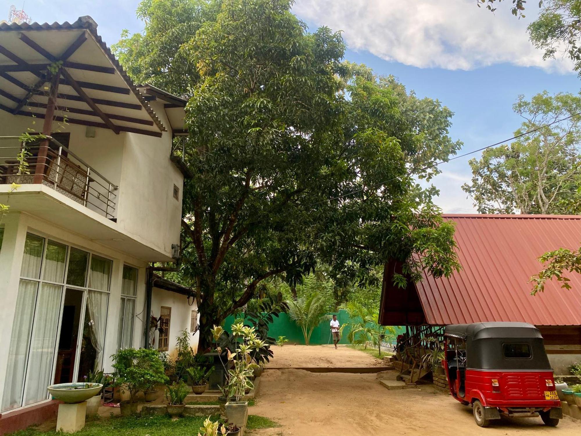 Habarana New Star Homestay Kültér fotó