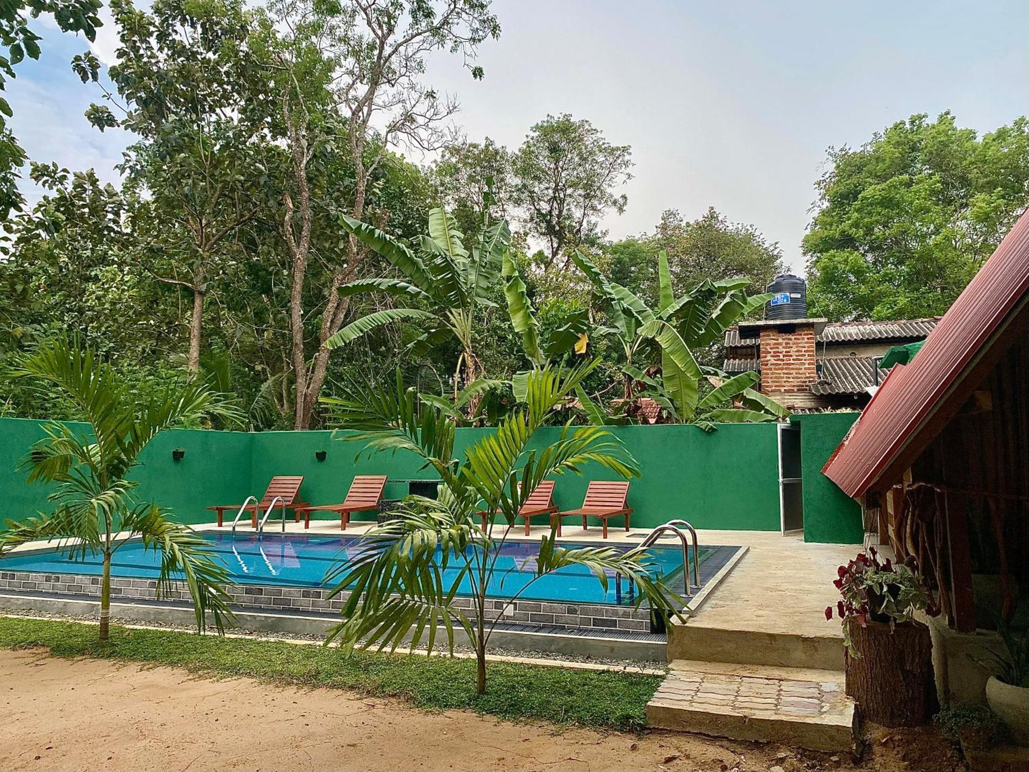 Habarana New Star Homestay Kültér fotó